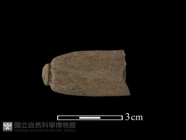 網墜藏品圖，第2張