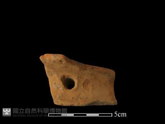 陶片藏品圖，第2張