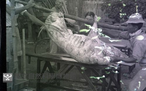 1950至2006年臺灣常民生活藏品圖，第1張