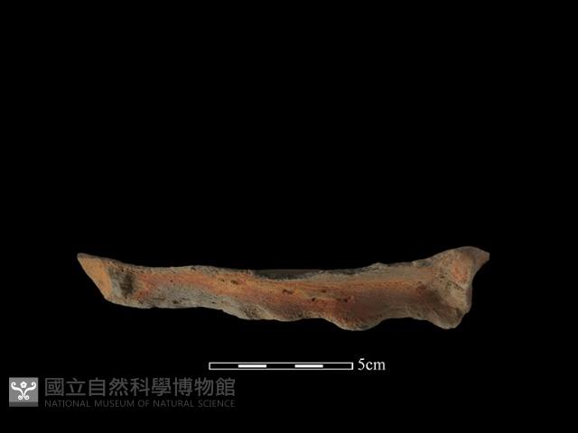 陶罐藏品圖，第2張