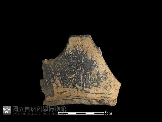 陶片藏品圖，第2張