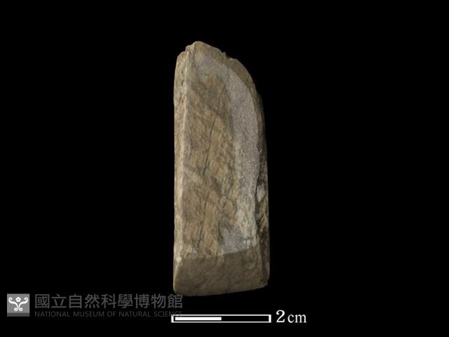 錛鑿形器藏品圖，第2張