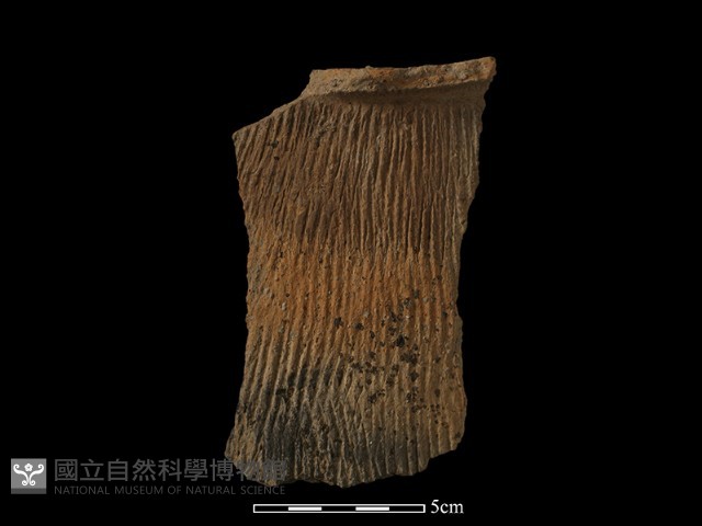 陶罐藏品圖，第1張