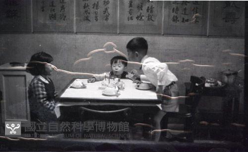 1950至2006年臺灣常民生活藏品圖，第1張
