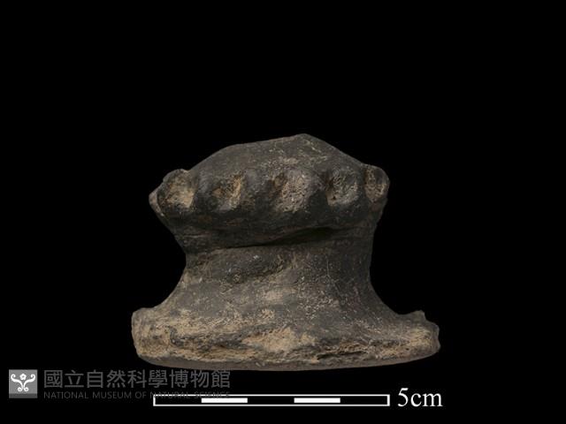 陶蓋鈕藏品圖，第2張