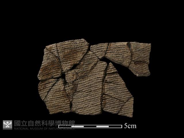 陶片藏品圖，第1張