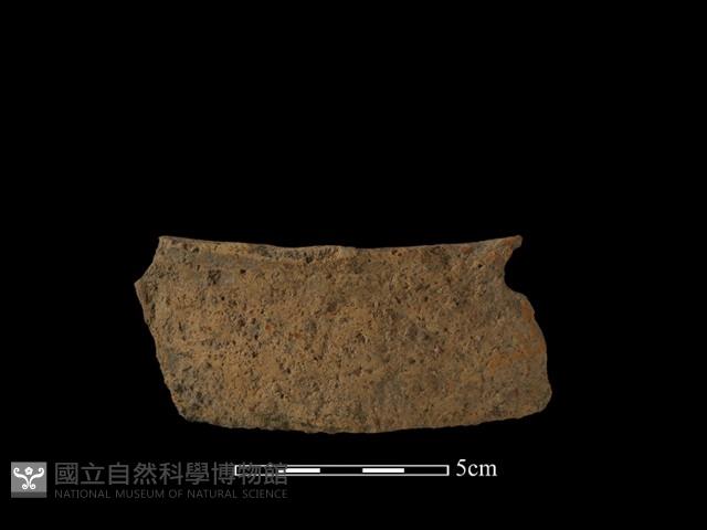 陶罐藏品圖，第1張