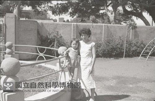 1950至2006年臺灣常民生活藏品圖，第1張