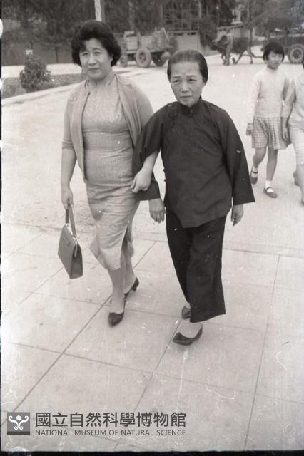 1950至2006年臺灣常民生活藏品圖，第1張