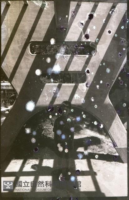 1950至2006年臺灣常民生活藏品圖，第1張