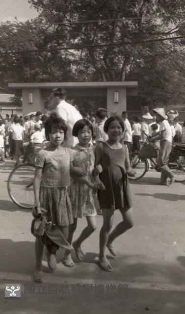 1950至2006年臺灣常民生活藏品圖，第1張