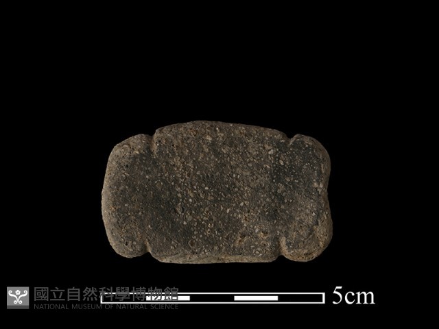 陶網墜藏品圖，第2張
