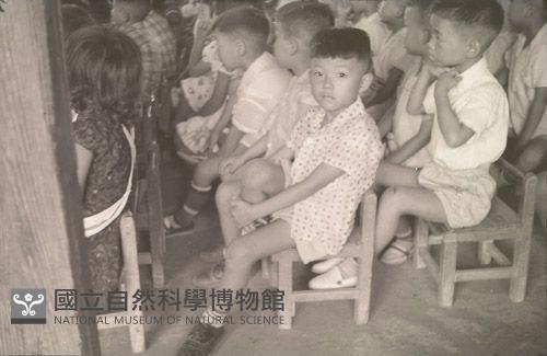 1950至2006年臺灣常民生活藏品圖，第1張