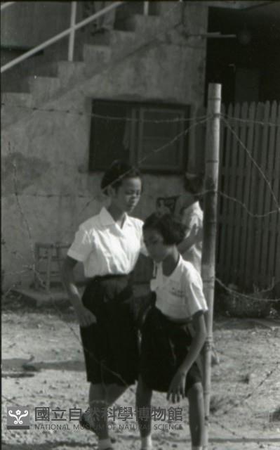 1950至2006年臺灣常民生活藏品圖，第1張