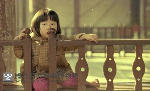 1950至2006年臺灣常民生活藏品圖，第1張