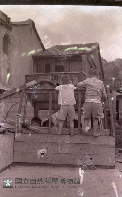 1950至2006年臺灣常民生活藏品圖，第1張