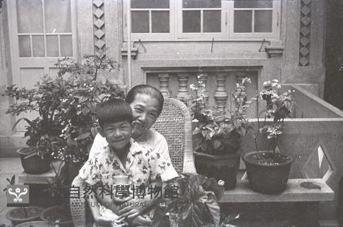 1950至2006年臺灣常民生活藏品圖，第1張