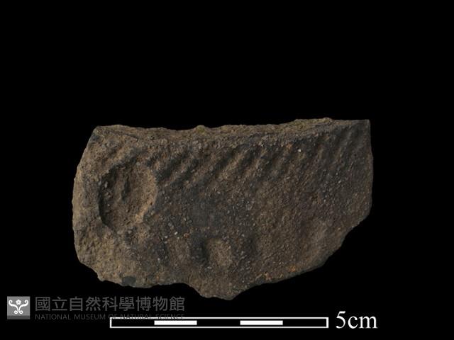 陶片藏品圖，第1張