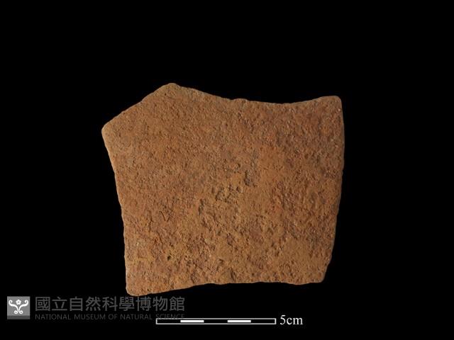 陶片藏品圖，第1張