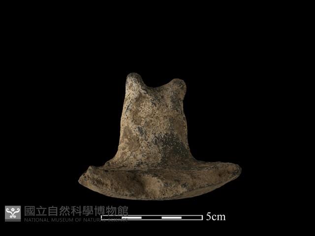 陶蓋鈕藏品圖，第2張