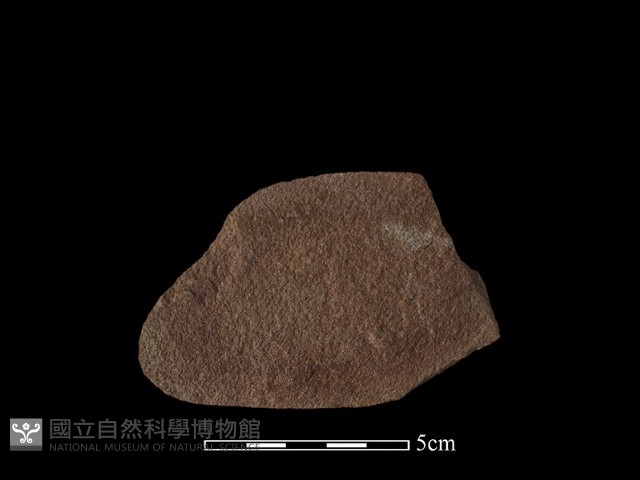 石片器藏品圖，第2張