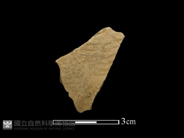 陶片藏品圖，第1張