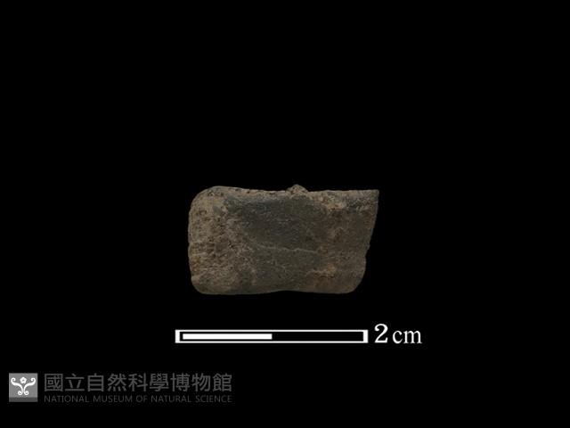 陶環藏品圖，第1張