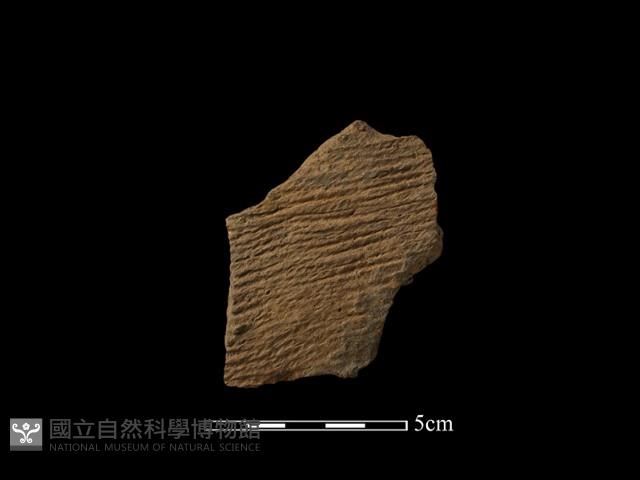 陶罐藏品圖，第1張