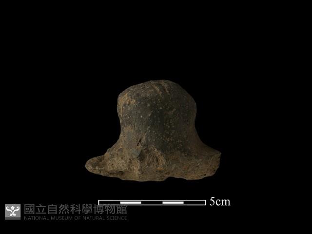 陶蓋鈕藏品圖，第1張