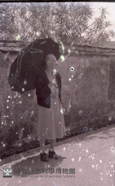 1950至2006年臺灣常民生活藏品圖，第1張