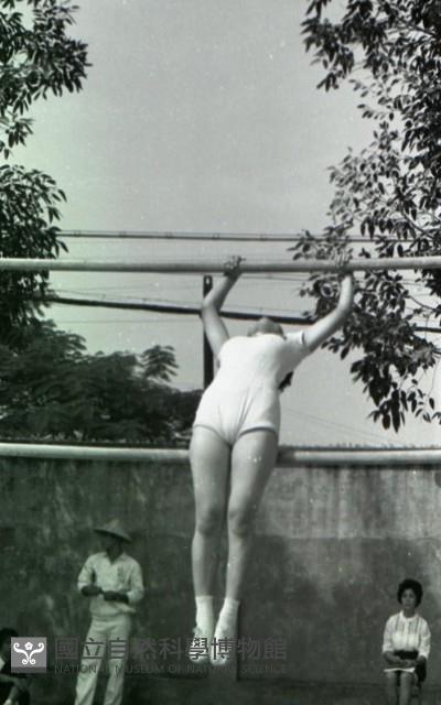 1950至2006年臺灣常民生活藏品圖，第1張