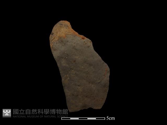 陶片藏品圖，第1張