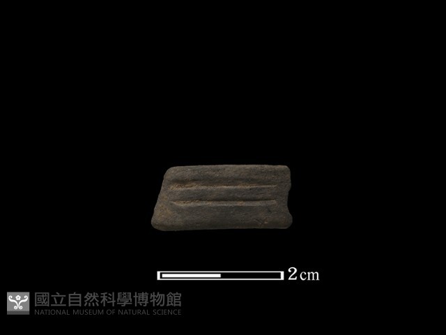 陶環藏品圖，第1張