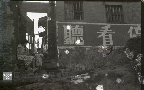 1950至2006年臺灣常民生活藏品圖，第1張