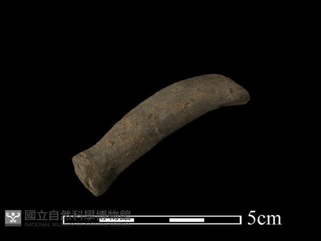 陶把藏品圖，第2張