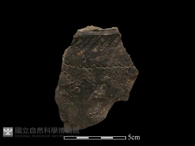 陶罐藏品圖，第1張