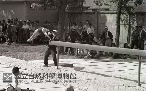 1950至2006年臺灣常民生活藏品圖，第1張