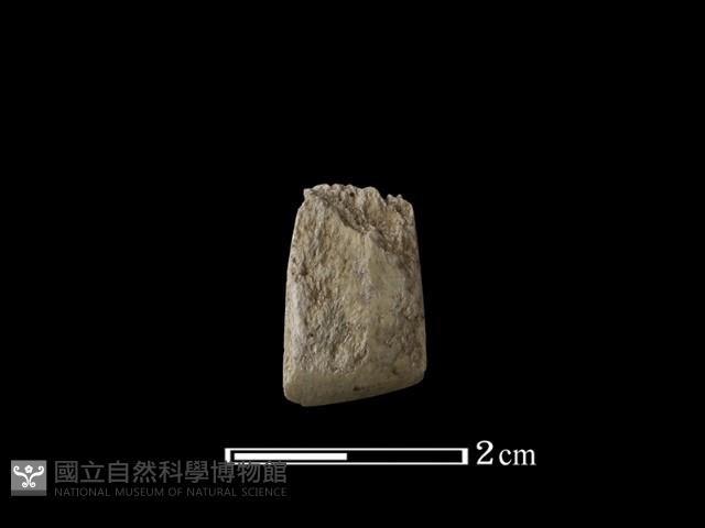 錛鑿形器藏品圖，第1張