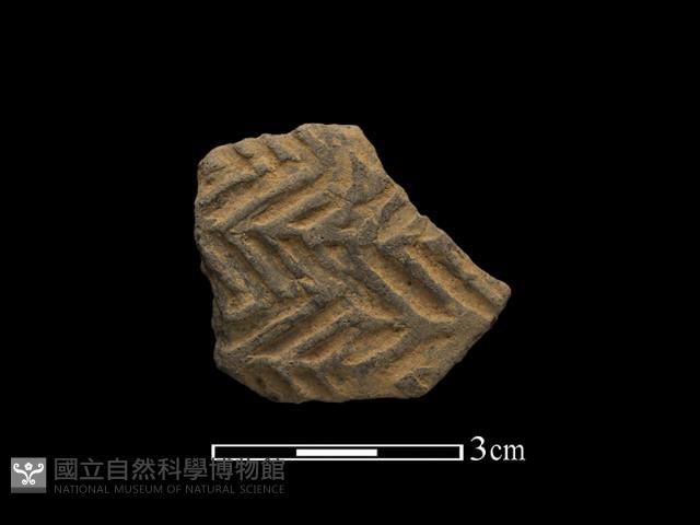 陶片藏品圖，第1張