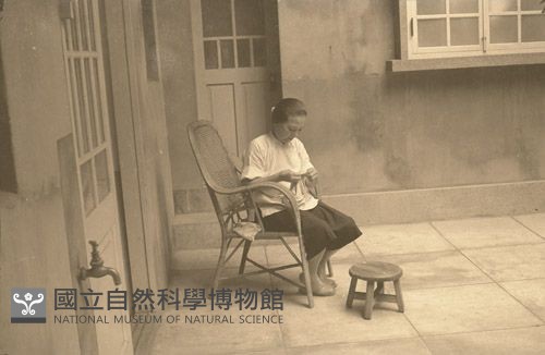 1950至2006年臺灣常民生活藏品圖，第1張