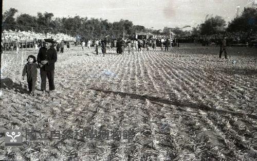 1950至2006年臺灣常民生活 藏品圖，第1張