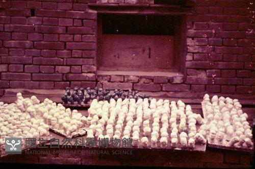 1950至2006年臺灣常民生活藏品圖，第1張