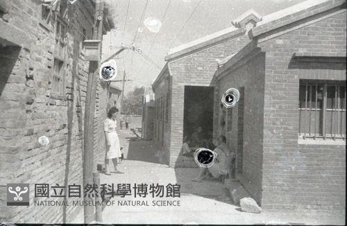 1950至2006年臺灣常民生活藏品圖，第1張