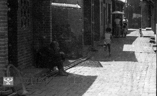 1950至2006年臺灣常民生活藏品圖，第1張