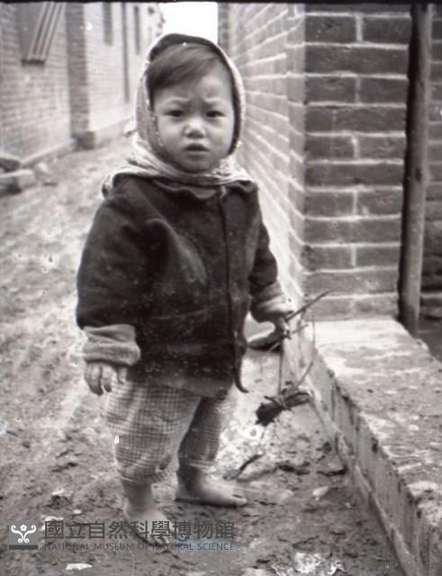 1950至2006年台灣常民生活藏品圖，第1張