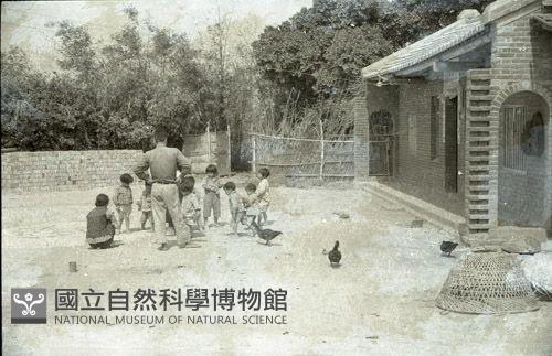 1950至2006年臺灣常民生活藏品圖，第1張