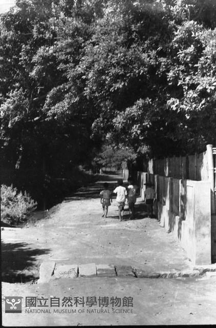 1950至2006年臺灣常民生活藏品圖，第1張