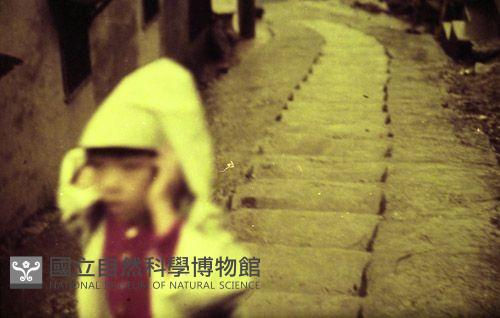 1950至2006年臺灣常民生活藏品圖，第1張