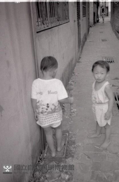 1950至2006年臺灣常民生活藏品圖，第1張