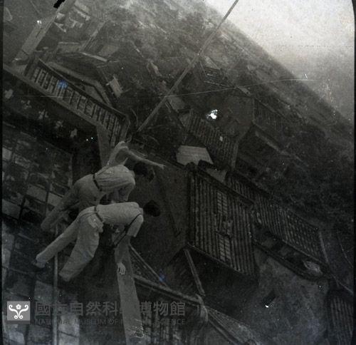 1950至2006年臺灣常民生活藏品圖，第1張